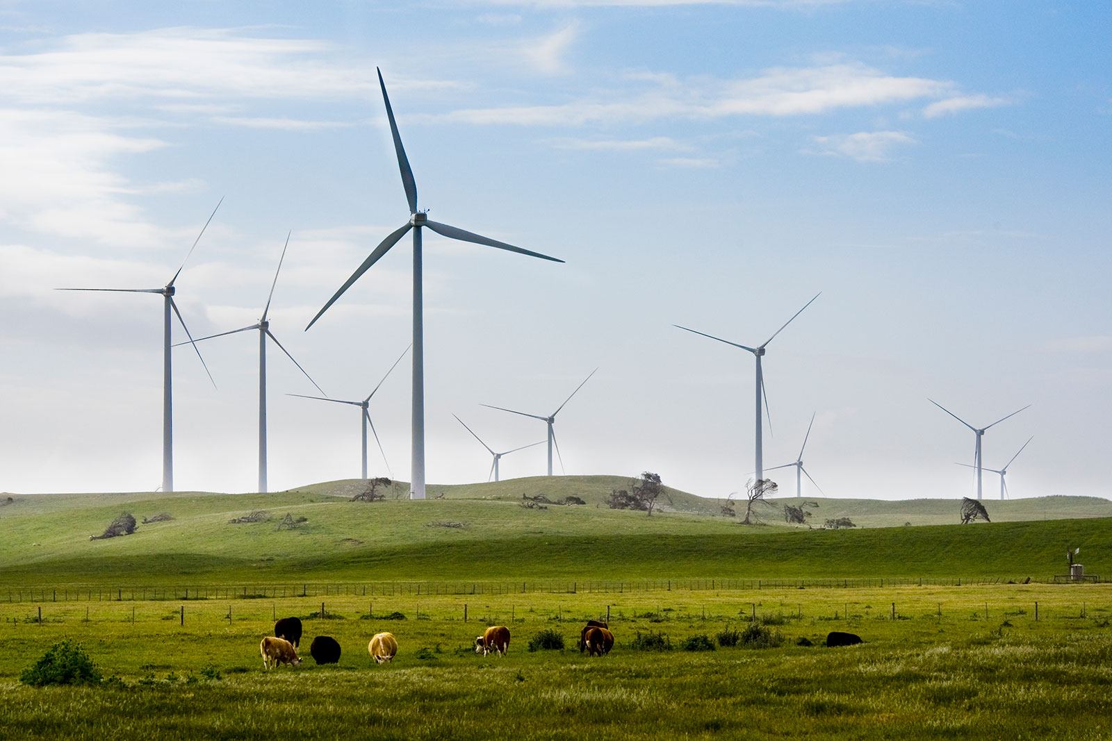 Lake Bonney Wind Farms