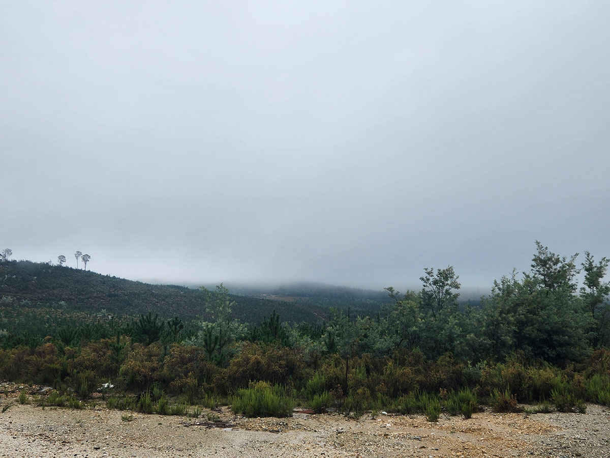Mullion Creek Wind Farm